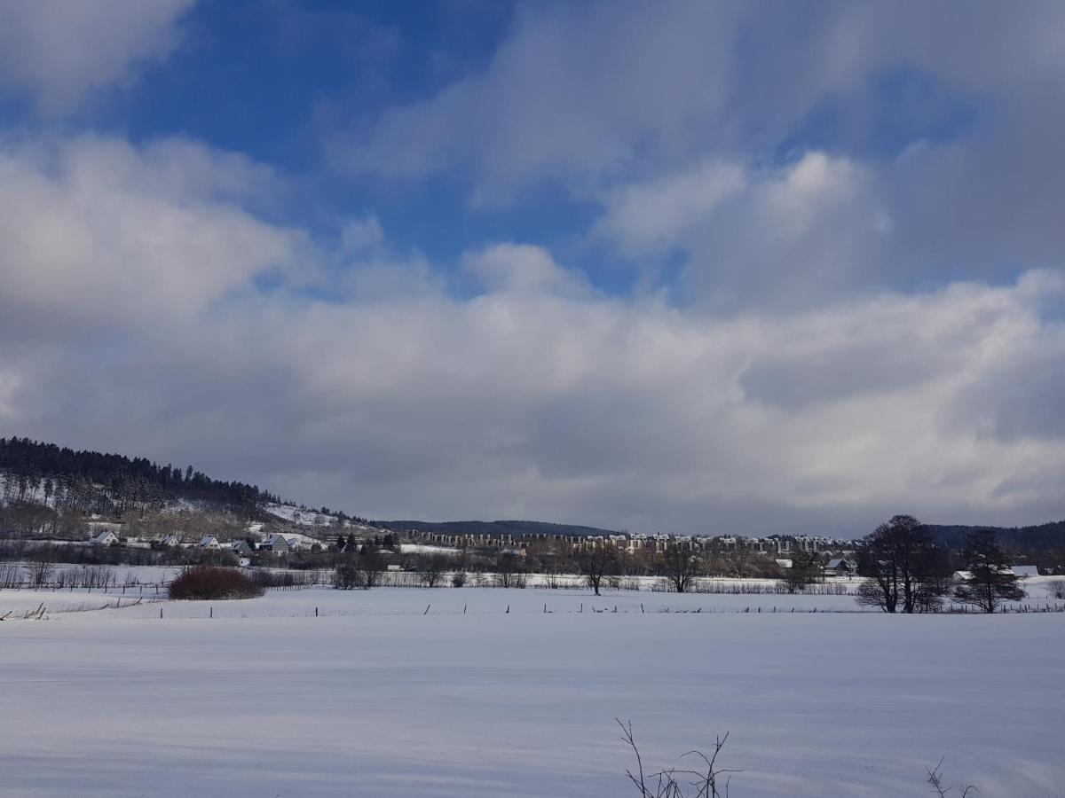 Ferienwohnung Parkblick Medebach Esterno foto