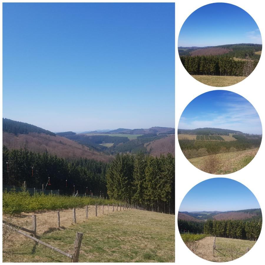Ferienwohnung Parkblick Medebach Esterno foto
