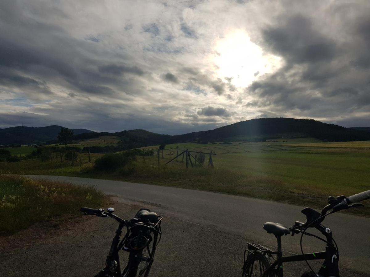 Ferienwohnung Parkblick Medebach Esterno foto
